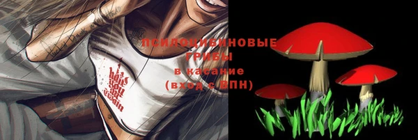 дживик Хадыженск