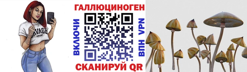 Псилоцибиновые грибы Magic Shrooms Чёрмоз