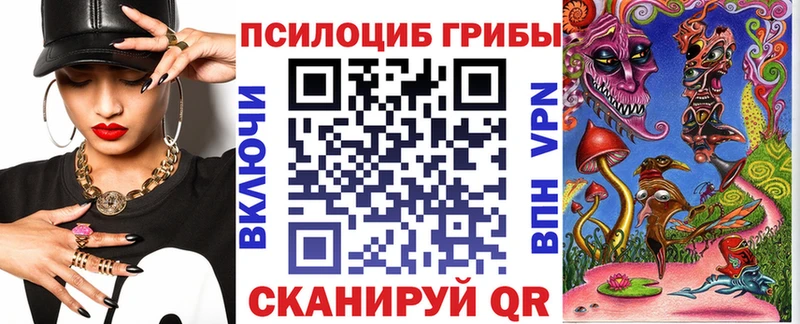 Купить  Чёрмоз  Галлюциногенные грибы Magic Shrooms 